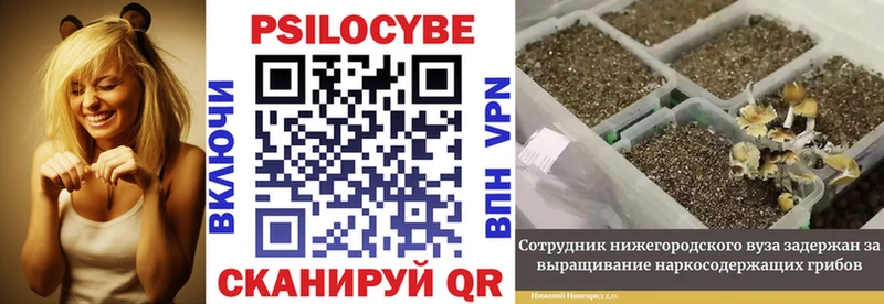 Галлюциногенные грибы Magic Shrooms  Пойковский 